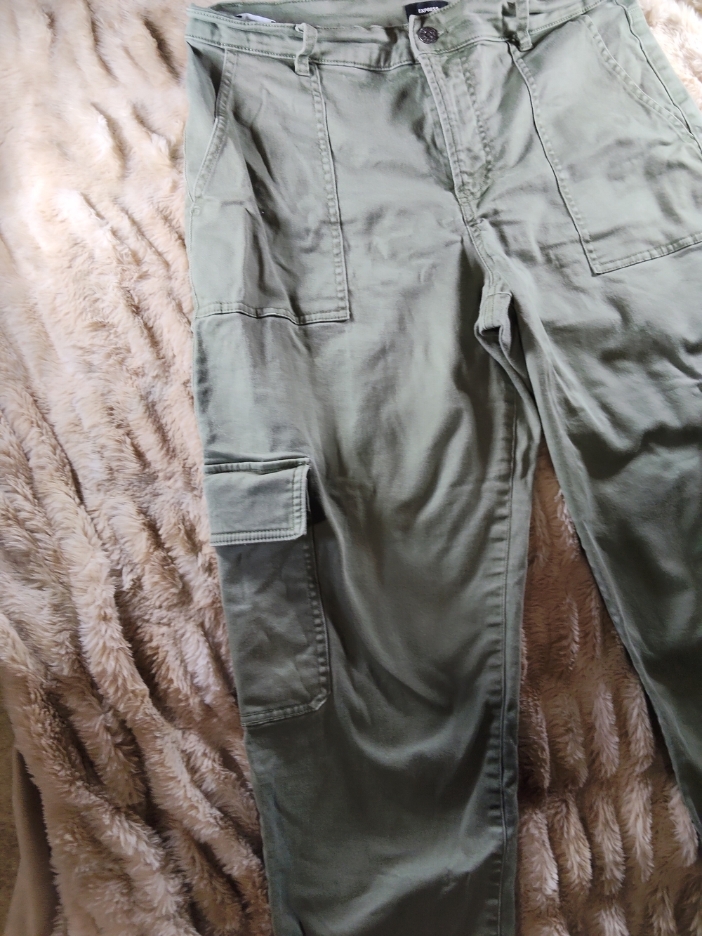 Express Olive Green Cargo Pants with Elastic Ankles - Picture 2 of 12